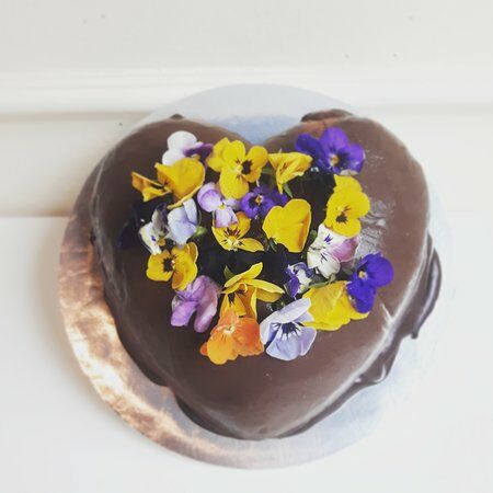 Butterfly Dessert Cafe